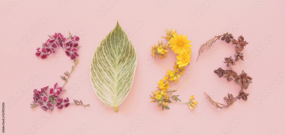 Φωτογραφία 2023 made from natural plants, leaves and flowers, Happy New Year wellness and h