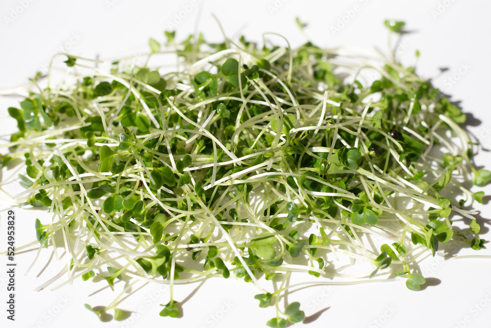 Organic kale sprouts on white background. Organic kale sprouts on white background.