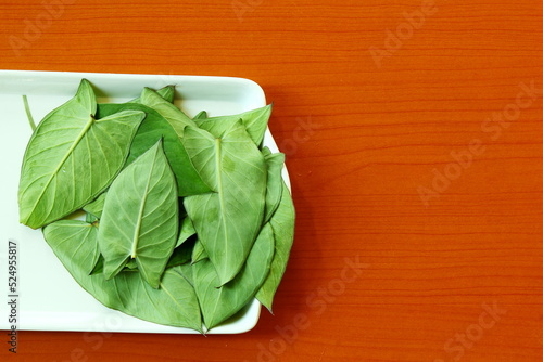 indian gujarati vegetable food leaves colocassia leaves also known as patra,arbi leaves or taro leaves top view with water drops,top view photo