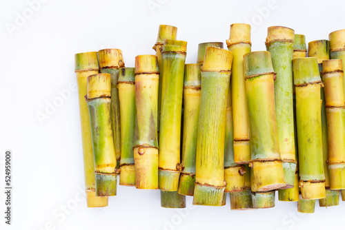 Cut sugar cane for planting