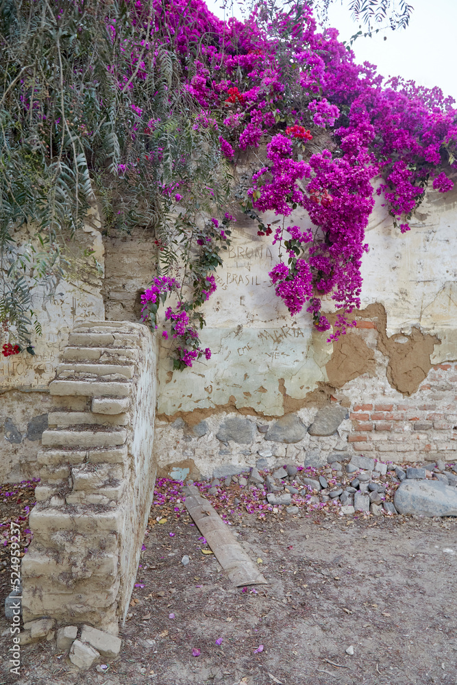 Santo Domingo de Chincha, called Chincha Alta to distinguish it from