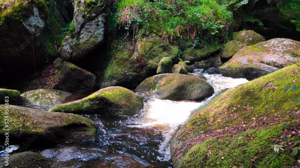Small rapid on the Rivière d'Argent (Silver River) between the Gouffre (Chasm) and the Mare aux fées (Fairies' pond) in the forest of Huelgoat. Small rapid on the Rivière d'Argent (Silver River) between the Gouffre (Chasm) and the Mare aux fées (Fairies' pond) in the forest of Huelgoat.