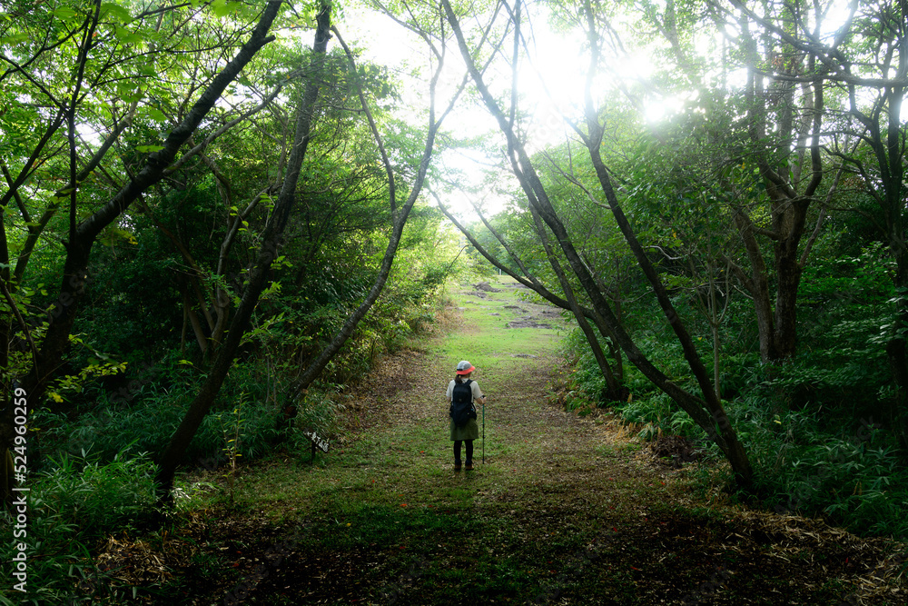 登山者 登山者
