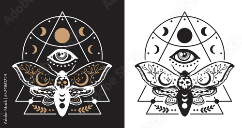 Celestial lunar death moth with third eyes vector illustration. Mystical moon moth with moon phases. Boho magic insect on white and black background.