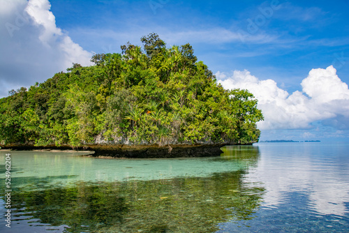 Ocean and tropical islands reflection on the water  Rock island southern lagoon  UNESCO world heritage site  Palau  Micronesia