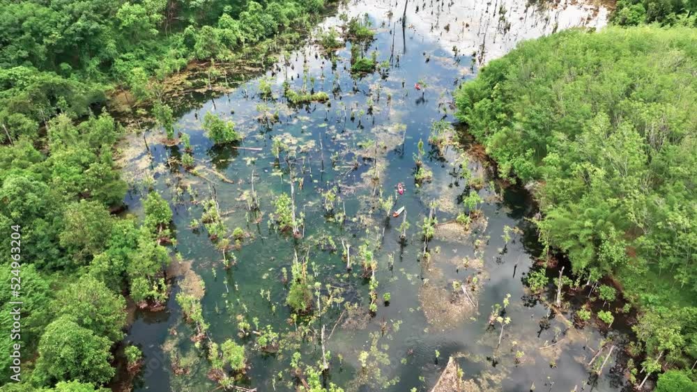 Kayaking In Mangrove Forest In Ao Nang, Krabi Province, Thailand. Aerial Tilt-up Kayaking In Mangrove Forest In Ao Nang, Krabi Province, Thailand. Aerial Tilt-up