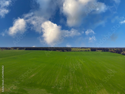 Panorama of beautiful countryside.Sunny day,beautiful spring landscape of green field and sky