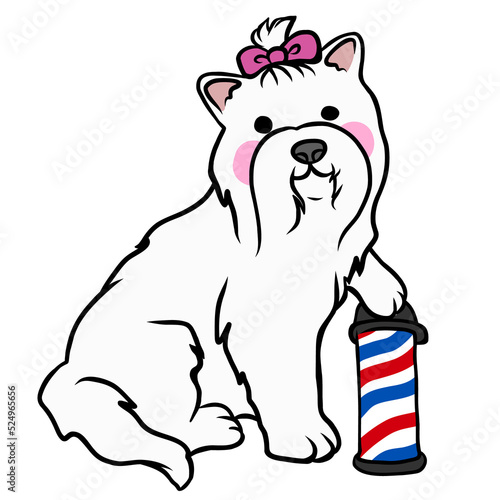 Maltese dog, pet grooming salon cartoon