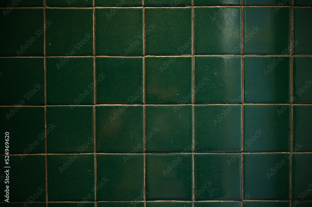 dark green wall bathroom, interior design