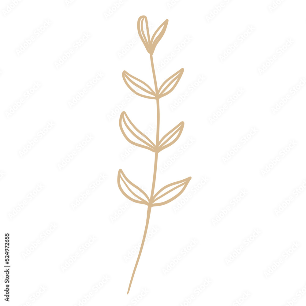 Fototapeta premium florals and leaves decoration