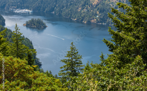 Beautiful view of the Saanich inlet and gulf islands from the Malahat summit at Fototapeta