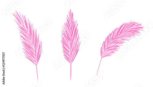 Set with pink flamingo feathers isolated on white background