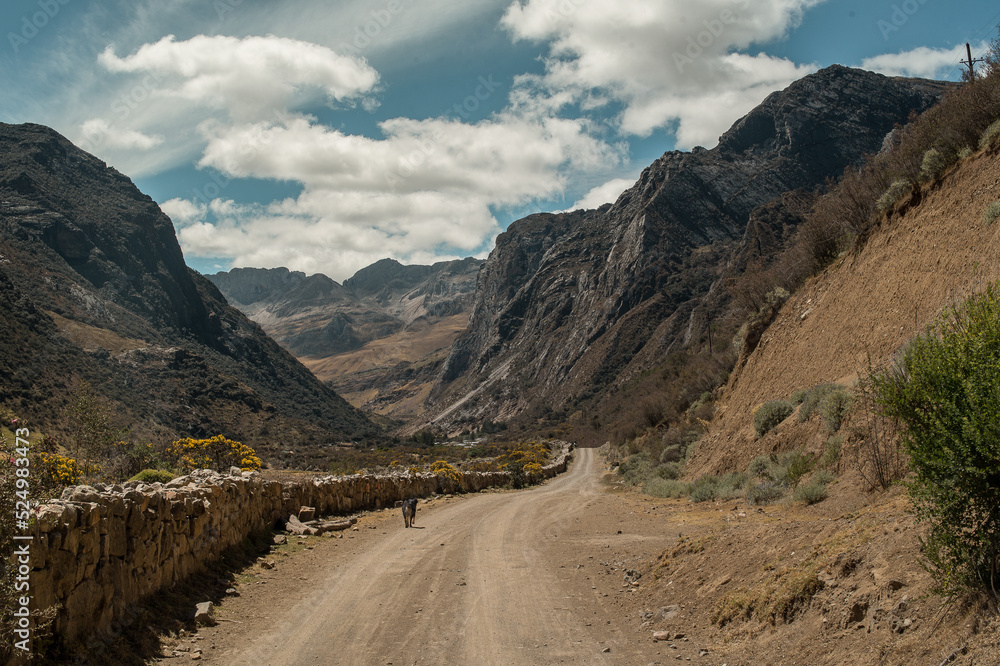 Amazing Mountainous Landscape In Peru.
photography of huaraz peru, with people with hiking clothes, lakes, mountains, colors, rainbow mountain. Amazing Mountainous Landscape In Peru.
photography of huaraz peru, with people with hiking clothes, lakes, mountains, colors, rainbow mountain.