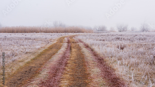 Foto Autumn landscape