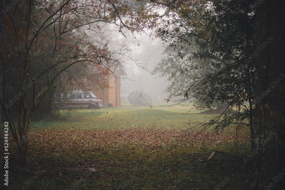 Fototapeta premium Morning Light Fog