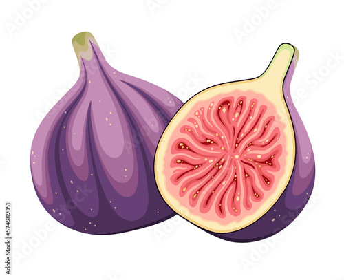 Ripe figs on a white background. Cartoon design.
