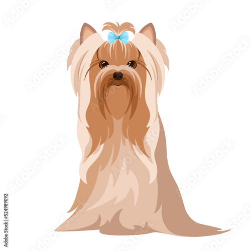 Cute Yorkshire terrier on a white background. Dog. Cartoon design. 