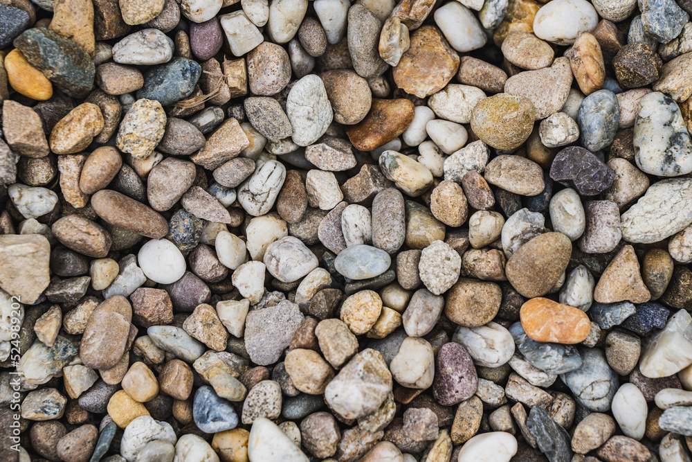 Rocks Rocks