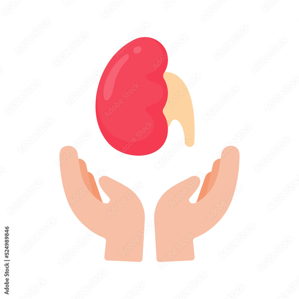 hand that supports internal organs The concept of organ donation for the treatment of patients hand that supports internal organs The concept of organ donation for the treatment of patients