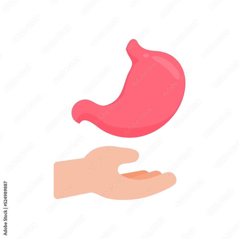 hand that supports internal organs The concept of organ donation for the treatment of patients hand that supports internal organs The concept of organ donation for the treatment of patients