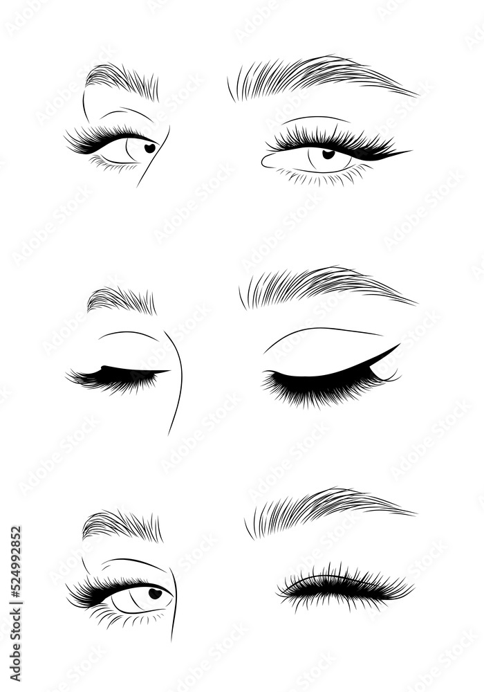 Set of realistic woman eyes. Female lashes and eyebrows. Lamination and extension eyelashes. Beauty studio logo. Linear vector Illustration in trendy minimalist style.