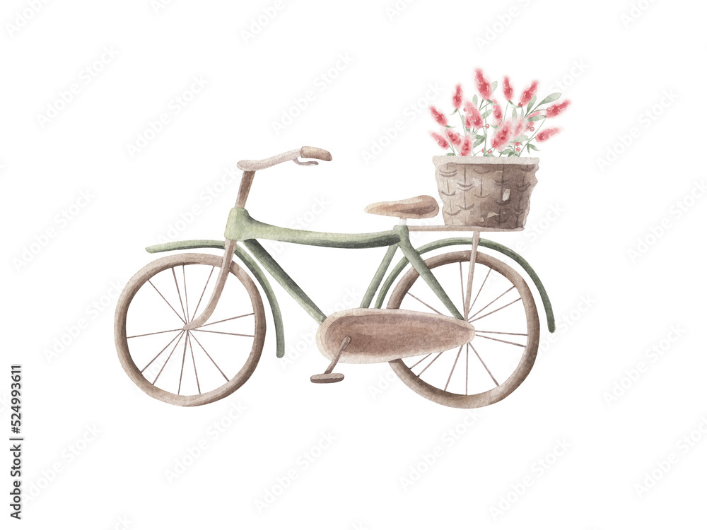 Fototapeta premium Watercolor bicycle with flowers.