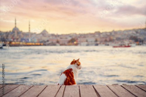 Photography Travel by Turkey