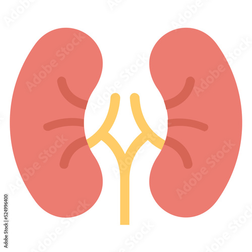 Human Kidneys