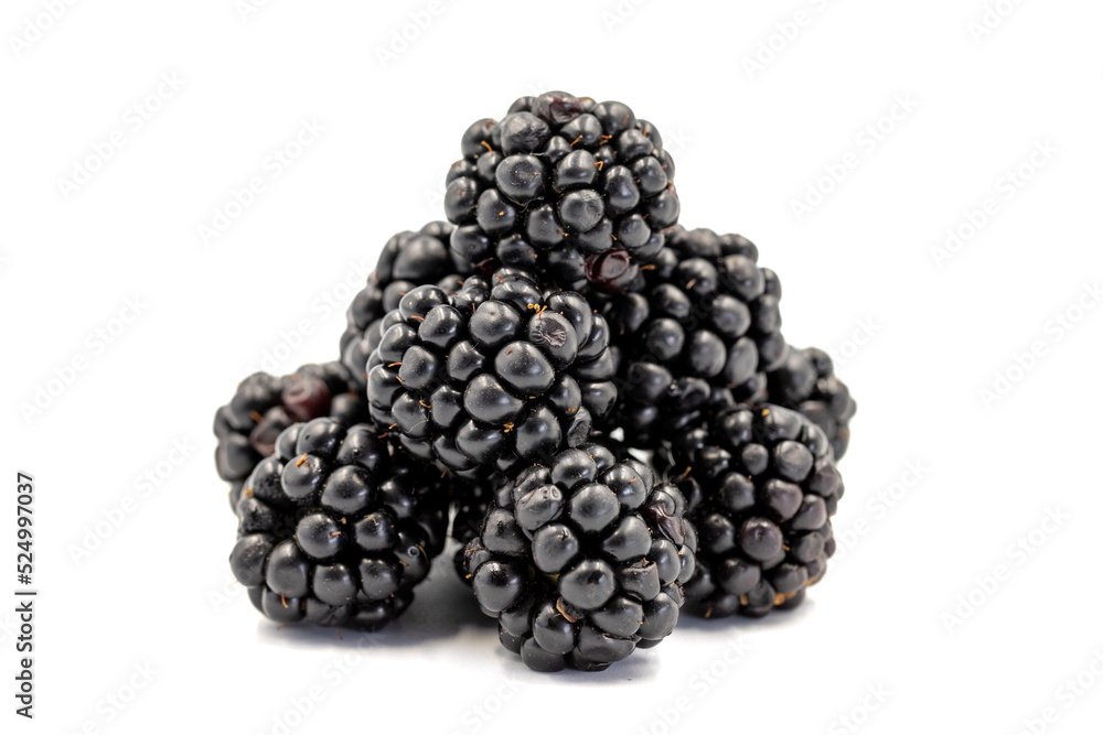 Black mulberry isolated on white background. Fresh and juicy black mulberry. Organic food. close up Black mulberry isolated on white background. Fresh and juicy black mulberry. Organic food. close up