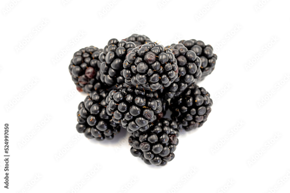 Black mulberry isolated on white background. Fresh and juicy black mulberry. Organic food. close up Black mulberry isolated on white background. Fresh and juicy black mulberry. Organic food. close up
