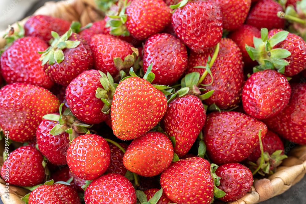 Ripe strawberries on a dark background. Fresh strawberries in a basket. Organic food. close up Ripe strawberries on a dark background. Fresh strawberries in a basket. Organic food. close up