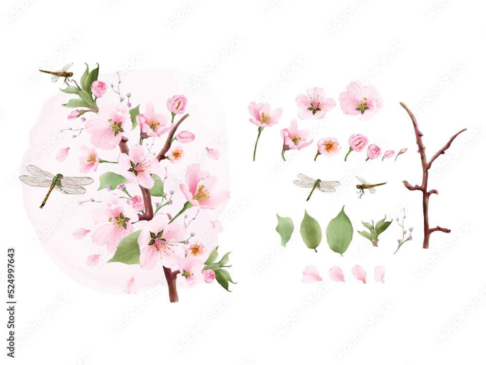 set watercolor elements cherry blossom and dragonfly