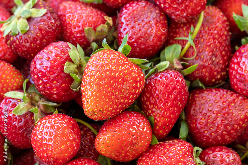 Pile of ripe strawberries. Fruit background. close up Pile of ripe strawberries. Fruit background. close up