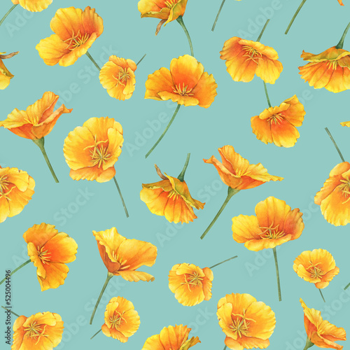 Seamless pattern with gold poppy flower (golden Eschscholzia, California sunlight, cup of gold, tufted desert Mojave poppy). Hand drawn watercolor painting illustration isolated on green background. photo
