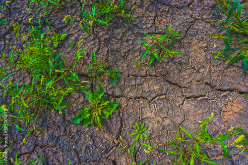 Obraz na plátně Cracked earth, metaphoric for climate change and global warming
