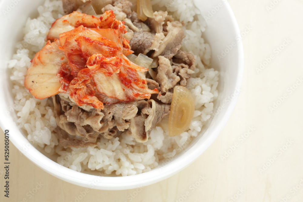 Japanese food, beef and onion simmered with Kimchi on rice Gyudon Beef bowl Japanese food, beef and onion simmered with Kimchi on rice Gyudon Beef bowl