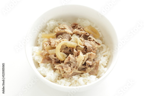 Japanese food, beef and onion simmered with sauce on rice  Gyudon Beef bowl