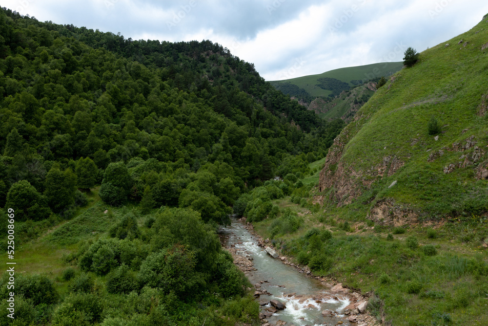 Mountain landscape: a picturesque green gorge with a fast mountain river between the slopes.