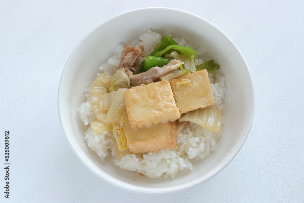 Chinese food, braised Tofu and pork with Chinese cabbage on rice Chinese food, braised Tofu and pork with Chinese cabbage on rice