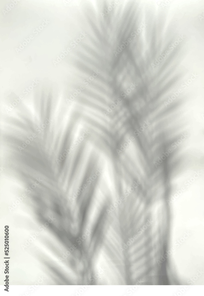 Obraz premium Tropical palm leaves shadow on grey wall, abstract vertical background, flat lay, minimalistic design. Translucent plant shadows, design template for graphics overlay. Vector illustration