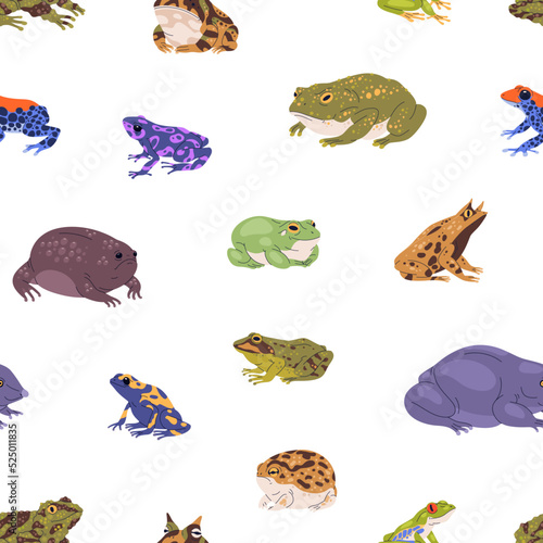Different frogs and toads pattern. Seamless froggy background with realistic amphibian animals, repeating nature print. Reptile, wildlife texture design. Printable flat vector illustration for fabric