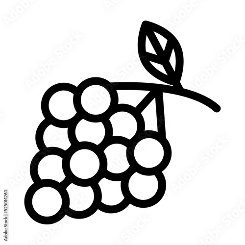 Zinfandel Grapes Icon Design