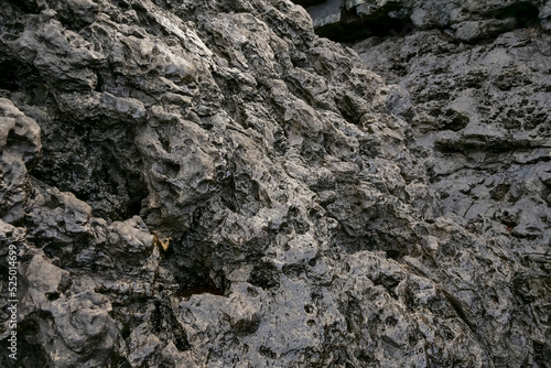 Abstract stone texture. Background for design purpose. Rough textured surface.