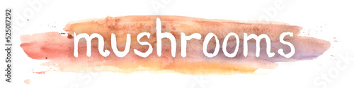 Mushrooms Word on orande watercolor splash High quality photo