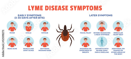 Infographic with round icons about Lyme disease symptoms flat style