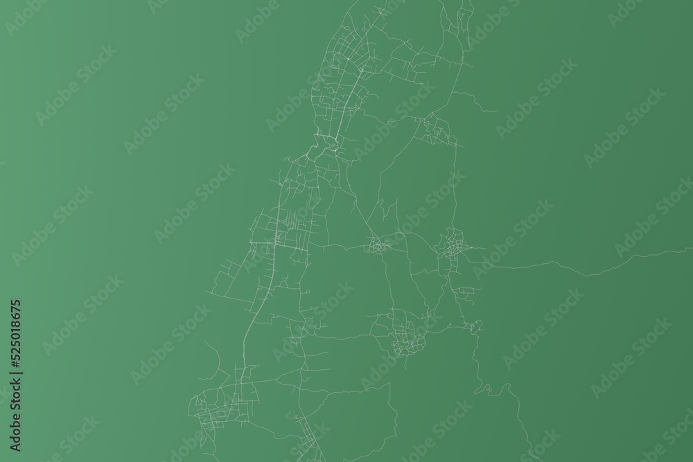 Stylized map of the streets of Moroni (Comores) made with white lines on green background. Top view. 3d render, illustration