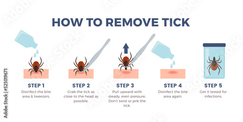 How to remove tick infographics banner, flat vector illustration on white background. photo