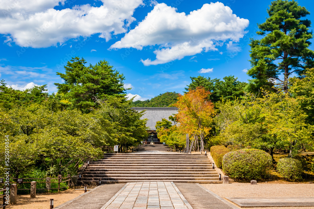 真夏の京都・仁和寺で見た、金堂へ続く道の左右に生い茂る新緑の木々と快晴の青空