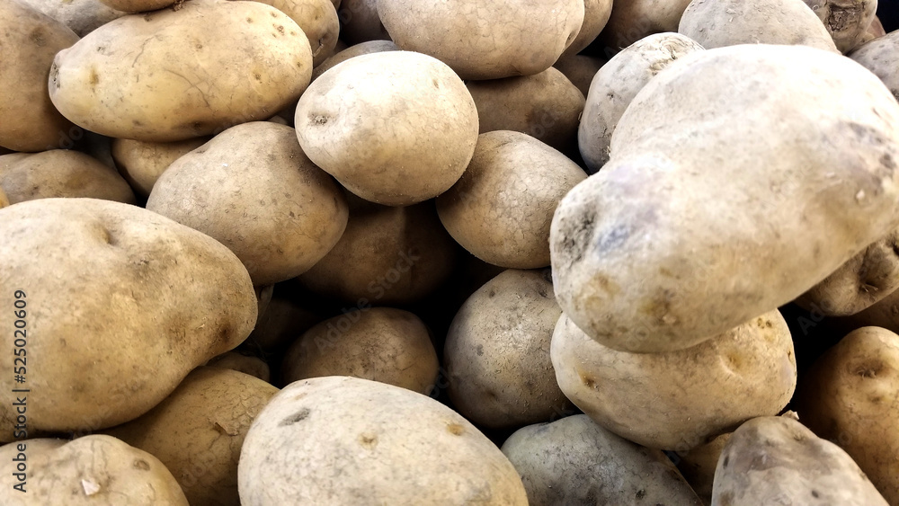 Close-up View of Raw Baby Potatoes Close-up View of Raw Baby Potatoes