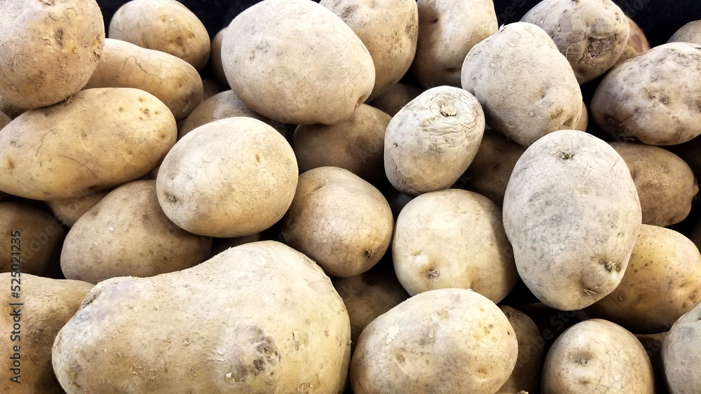 Close-up View of Raw Baby Potatoes Close-up View of Raw Baby Potatoes